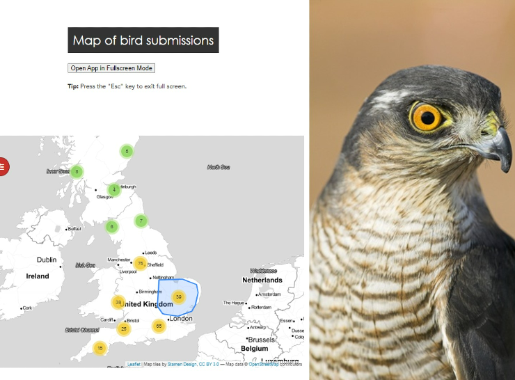 Sparrowhawk and bird submissions map screenshot