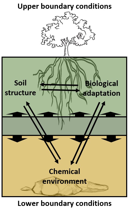 Living dynamic soil