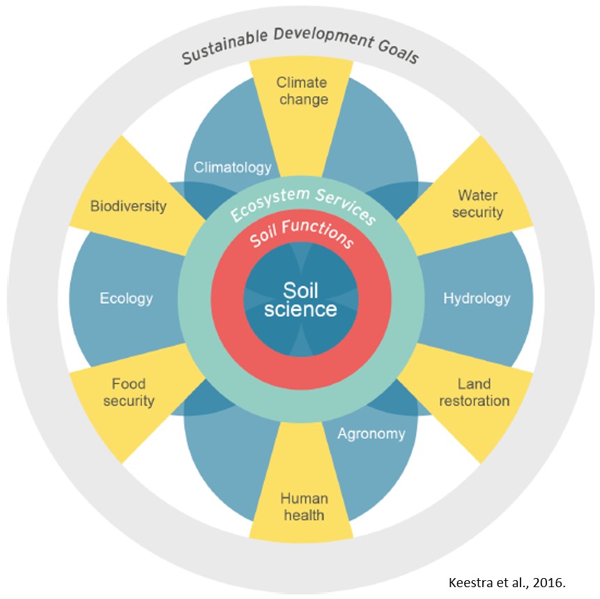 Soil science diagram. Keestra et al., 2016.