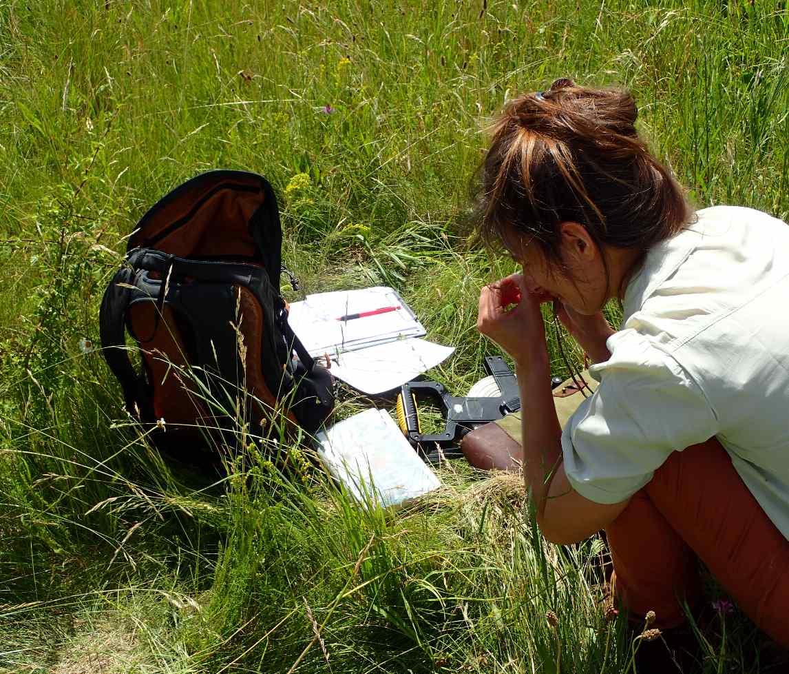Surveying plants in the field