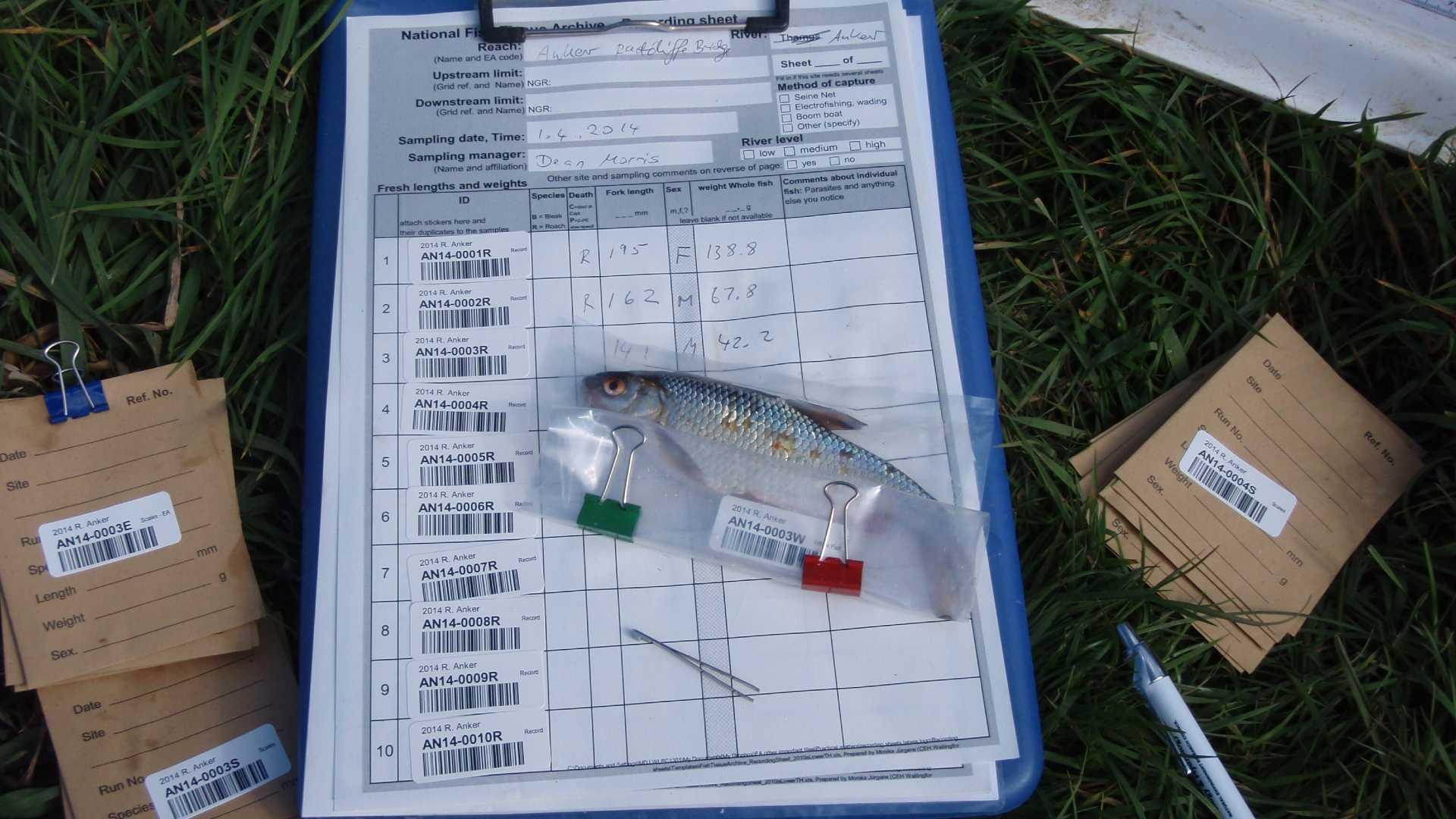 Sampling fish with clipboard and kit
