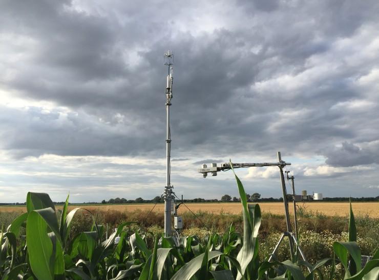 UK Land Flux Network: East Anglia Horticulture