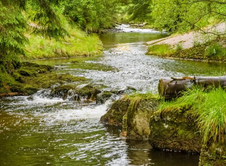 River Severn with trapezoidal flume. Photo by Daniel Hauck, work experience student.