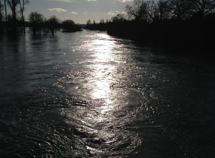 Thames in flood, downstream from Wallingford Bridge, January 2014