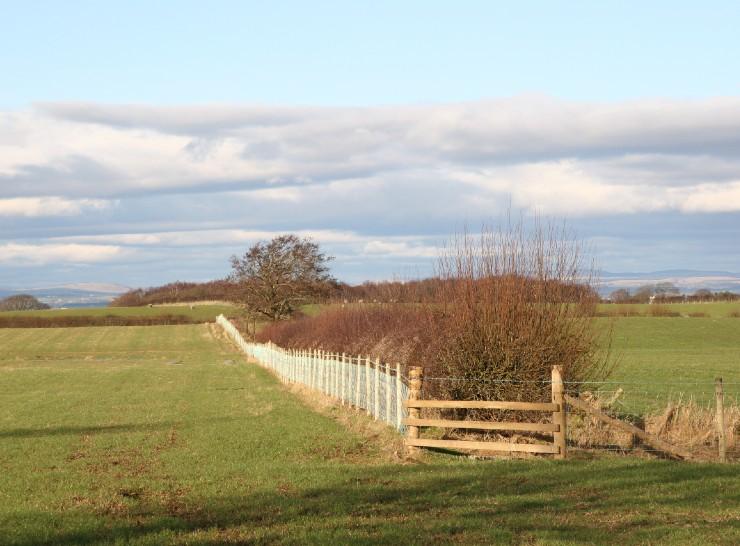 Countryside (taken from countryside survey website)